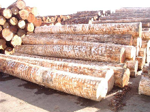 log stack 1-951